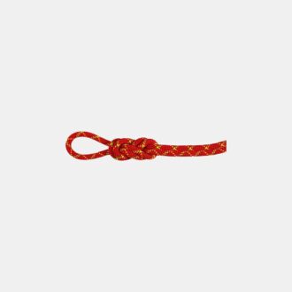 8.0 Alpine Core Protect Dry Rope 30m