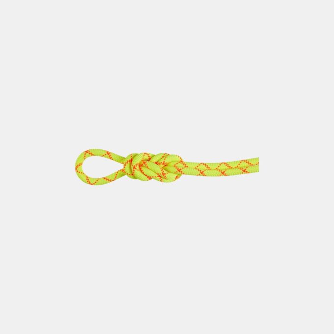 9.5 Alpine Core Protect Dry Rope 60m