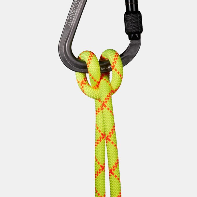 9.5 Alpine Core Protect Dry Rope 60m