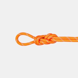 9.5 Alpine Dry Rope 9.5 Alpine Dry Rope