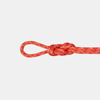 9.5 Gym Classic Rope 40m