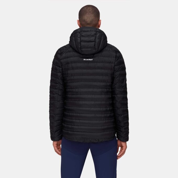 Albula IN Hooded Jacket Men Albula IN Hooded Jacket Men