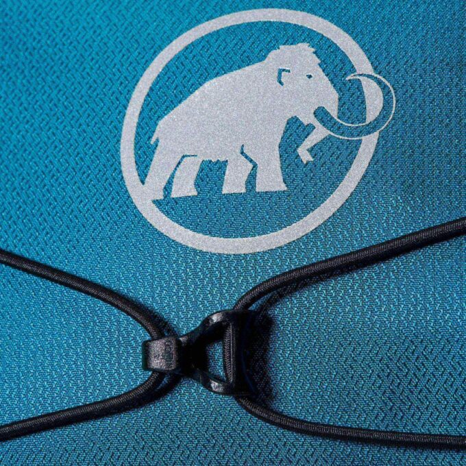 Lithium Waistpack