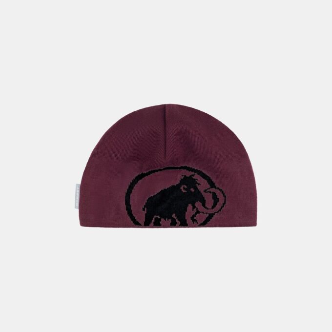 Tweak Beanie