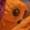 Women’s Perform Fiber Bag -10C